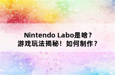 Nintendo Labo是啥？游戏玩法揭秘！如何制作？